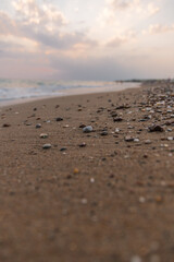 beach at sunset