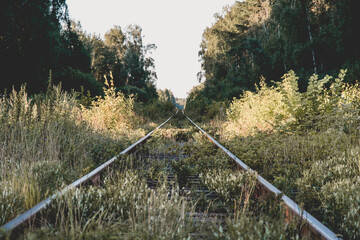 railway in the forest