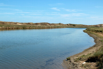 pond in the Zwin, border between Belgium and the Netherlands