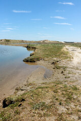 beautiful Zwin, border between Belgium and the Netherlands
