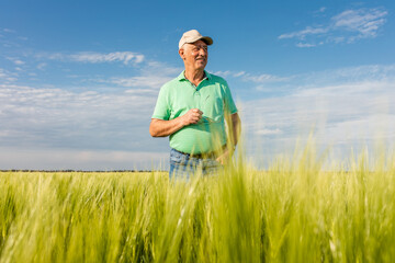 Naklejka na ściany i meble Portrait of smiling senior farmer standing in in wheat field.