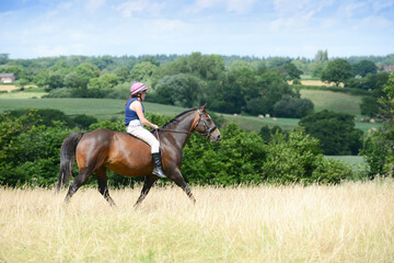 Pretty young woman and her bay horse enjoy a peaceful ride across the Shropshire countryside on a...