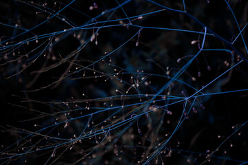 abstract blue background