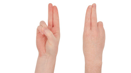Freckled white hand. Isolated woman's hands, front and back, index and second finger together and pointing, ring and little finger depressed by thumb