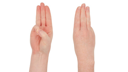 Freckled white hands. Isolated woman's hand, front and back, index second and ring fingers together, thumb and little finger tucked in.  Gesture indicating the number three