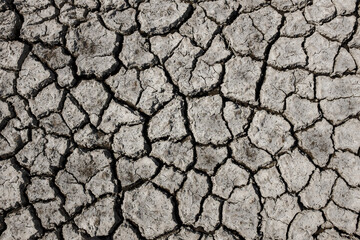 Dry cracked earth background. Top view. Pattern.