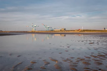  Cranes of the port of Zeebrugge seen from the beach © Erik_AJV