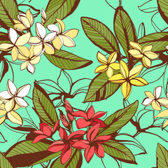 Tropical floral summer seamless pattern with plumeria flowers wi