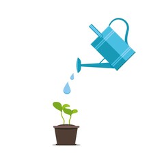 Watering seeds with watering can. Gardening and sowing design concept for germination.