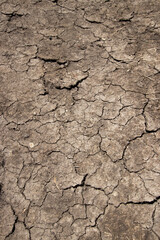 Dry and cracked soil in the alpine forelands of bavaria, Germany in 2020