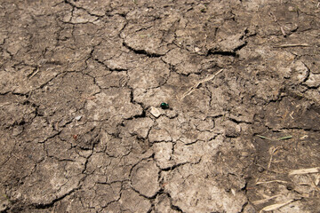 Dry and cracked soil in the alpine forelands of bavaria, Germany in 2020