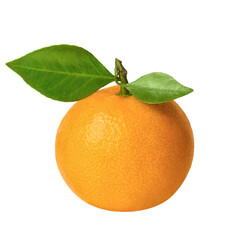 Mandarin isolated on white background