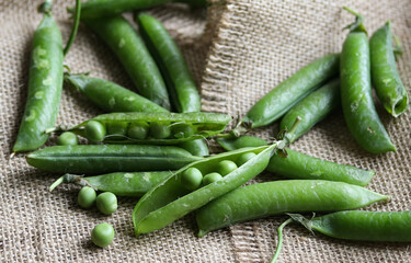 green pea pods on a burlap background close up