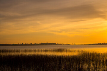 Fototapeta na wymiar Summer lake at dawn, nature background.