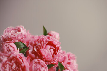 Flowers composition.  Pink peony flowers on wooden background. Mothers day. Flat lay, top view.