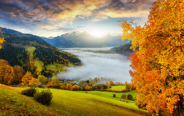 Obraz premium Incredible Nature Landscape. foggy morning during sunrise at Alpine lake in autumn. Colorful Sky over the Zeller Lake in Zell am See, Salzburger Land, Austria. Creative image. Natural Background