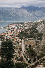 view of the city of kotor montenegro