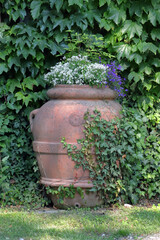 Obraz premium vaso di terracotta con fiori
