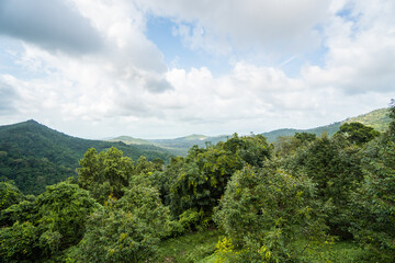 Summer tropical forest hills with a cloudy sky. Mountains and white clouds on a blue sky. Tropical summer holiday vacation concept.