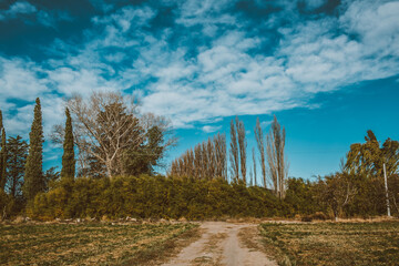 Fototapeta premium Camino en el campo