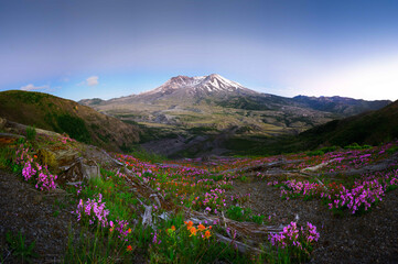 Mt. St. Helens