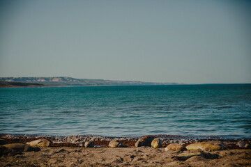 Paisaje con lobos marinos