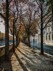 Calles en Paris Francia