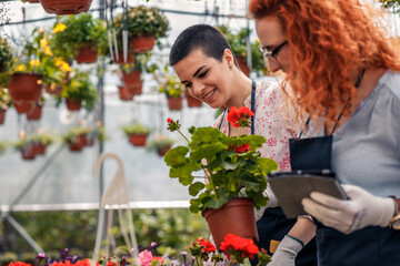 Two female florists working with flowers in a greenhouse, preparing online orders using a tablet.