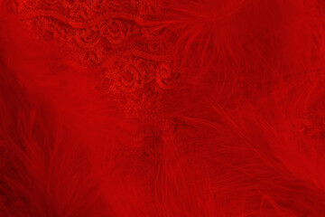 Background of red fluffy feathers and red lace in retro vintage burlesque style - obrazy, fototapety, plakaty