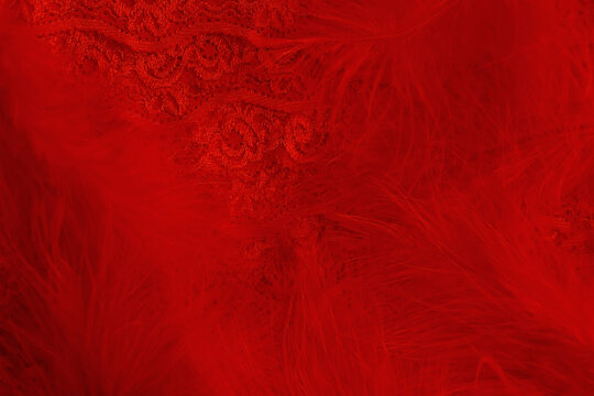 Background of red fluffy feathers and red lace in retro vintage burlesque style