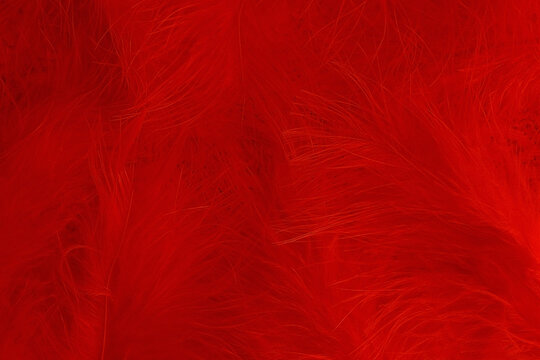 Red background from Red retro feathers from a boa