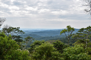 Obraz na płótnie Canvas amazon landscape