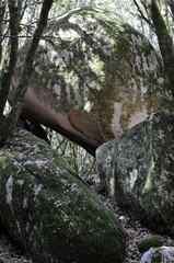 pierres et rochers posés dans un ancien sanctuaire celtique et druidique en forêt corse