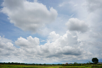 Cumulus clouds are puffy clouds that sometimes look like pieces of floating cotton. 