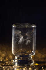 bokeh fluff