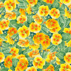 Seamless pattern with yellow watercolor primroses flowers. Can be used for printing textiles, wallpaper, gift wrapping, decorating, design cards.