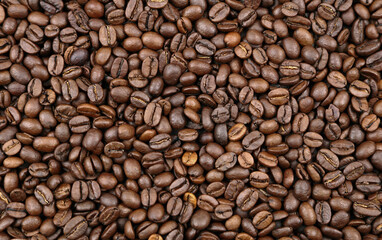 Roasted coffee beans