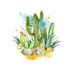 Hand drawn watercolor cactuses in desert. Watercolor with cactus garden. Illustration for greeting cards, invitations on white background. Green succulent, cactus plants, flowers, stones, butterfly.