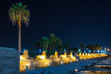 Ancient Luxor temple at sunset, UNESCO World Heritage site, Luxor, Egypt.
