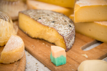 Heads of cheese. Hard cheese. Cheese. Cheese Festival. Craft cheese. A piece of hard cheese. 