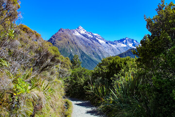 Naklejka na ściany i meble Stunning view of Mount Christina through lush greenery at the Key Summit Track section of Routeburn Track, one of the Great Tracks on New Zealand's South Island in Fiordland National Park. 