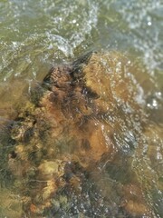 water flowing into the river