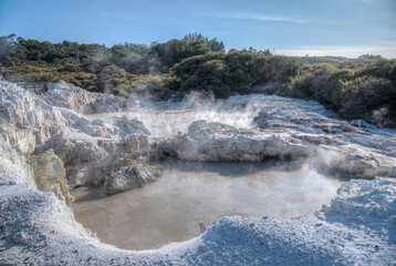 Hot pools at Hell's Gate Geothermal Reserve in New Zealand