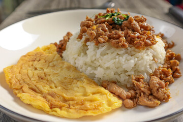 stir fried pork with soy sauce and omelet with rice 