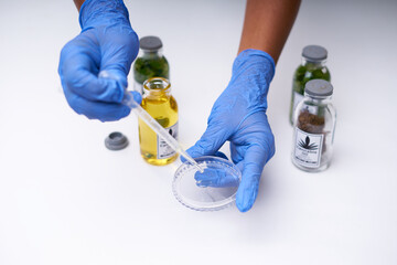 Medicine research of extract cannabis oil for alternative medicine 