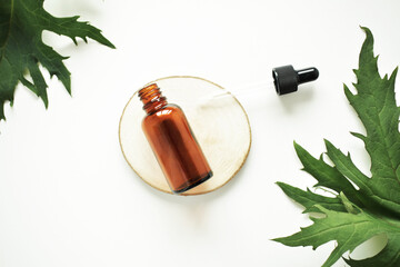 Bottle of essential oil, leaves of medicinal herbs and pink background. top view copy space
