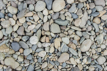 Background of gravel. Rocky riverbank. The texture of the rocky shore. Background for an inscription.