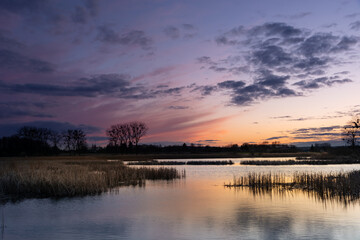 Fototapeta na wymiar Beautiful colorful clouds after sunset, reeds in a calm lake