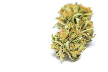 Close up photo of green dried cannabis bud. Marijuana bud close up on white background.