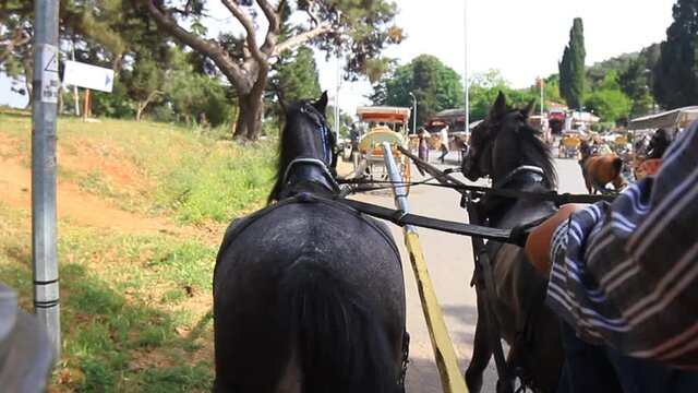 Man riding his horse driven cart at Buyukada, Istanbul.  Carriages are only form of transport as motorized vehicles are banned here. 
